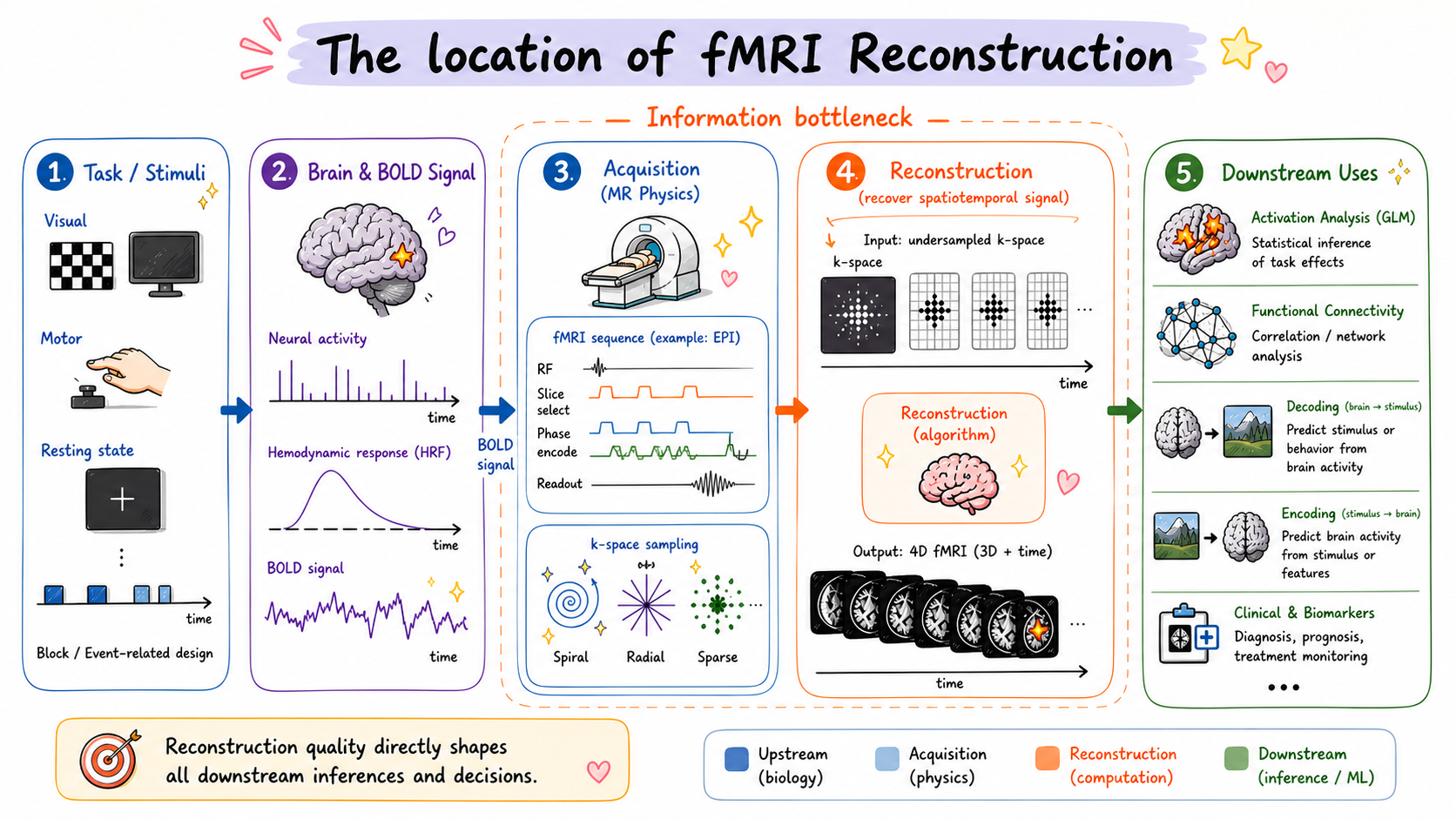 Overview of the role of fMRI reconstruction in the imaging and analysis pipeline